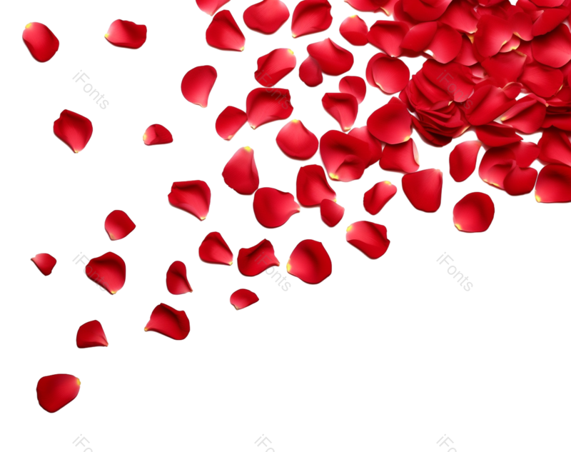 装饰图片,520元素,玫瑰花PNG,玫瑰花瓣免抠素材